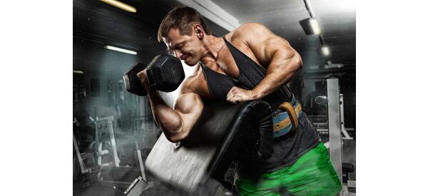 Tipps zum schnellen Muskelaufbau - Tipps zum schnellen Muskelaufbau | Planet Muscle